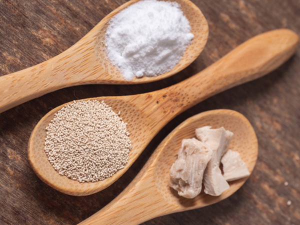 Bradys Yeast Powder bulk Bradys Yeast Powder bulk