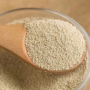 Apa Bedanya Bubuk Ragi Brady dengan Ragi Kering Aktif?